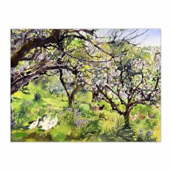 A Cornish Orchard in Spring (12×16)