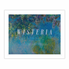 Wisteria (8×10)